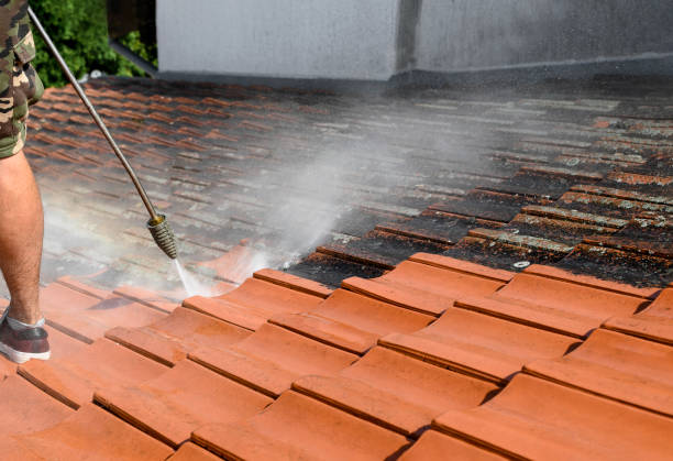 Best Concrete Pressure Washing  in Lechee, AZ